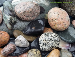 t sea stones