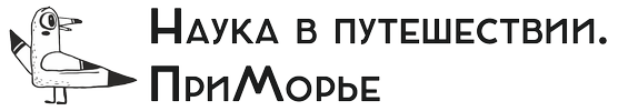 logo09