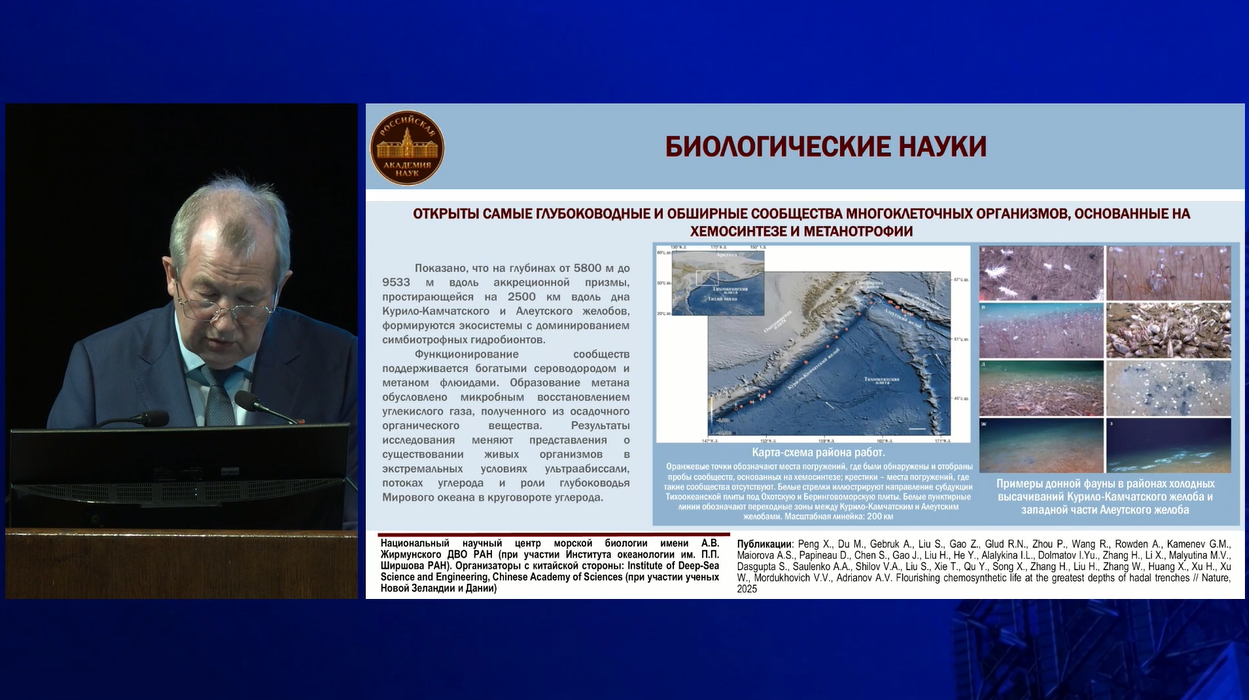 26052026